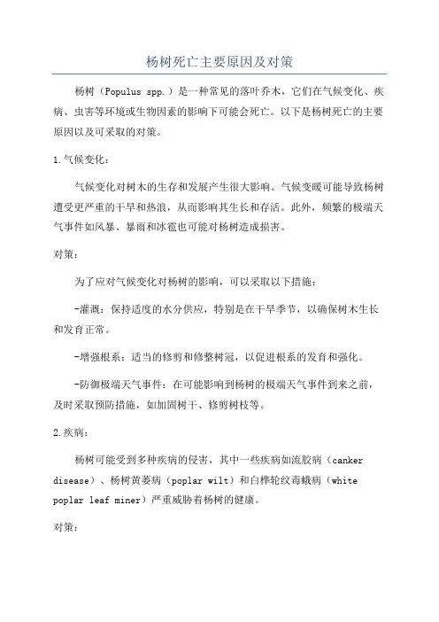 杨树死亡主要原因及对策
