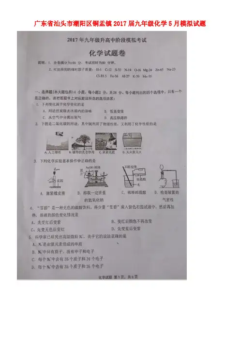 广东省汕头市潮阳区铜盂镇九年级化学5月模拟试题(扫描版)