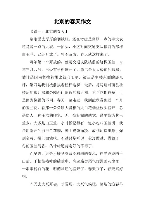 北京的春天作文