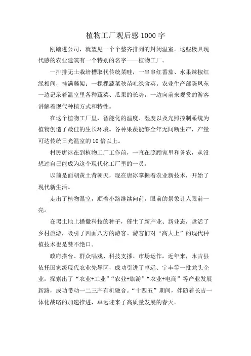 植物工厂观后感1000字