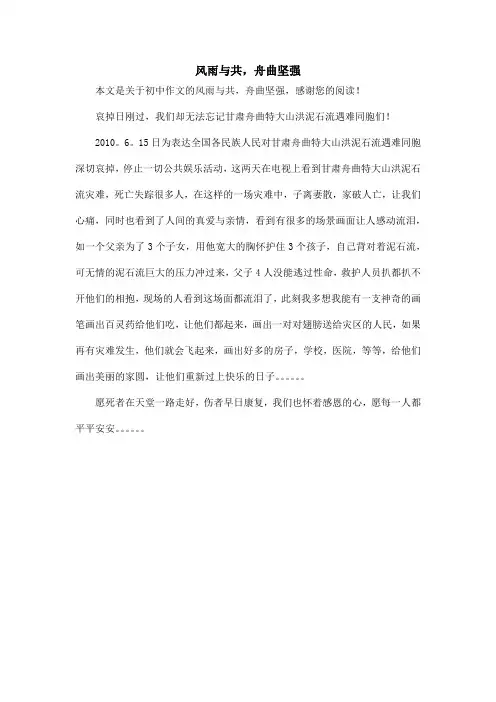 风雨与共,舟曲坚强_初中作文