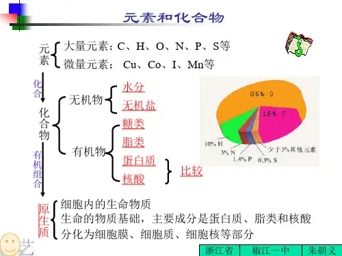细胞的化学成分