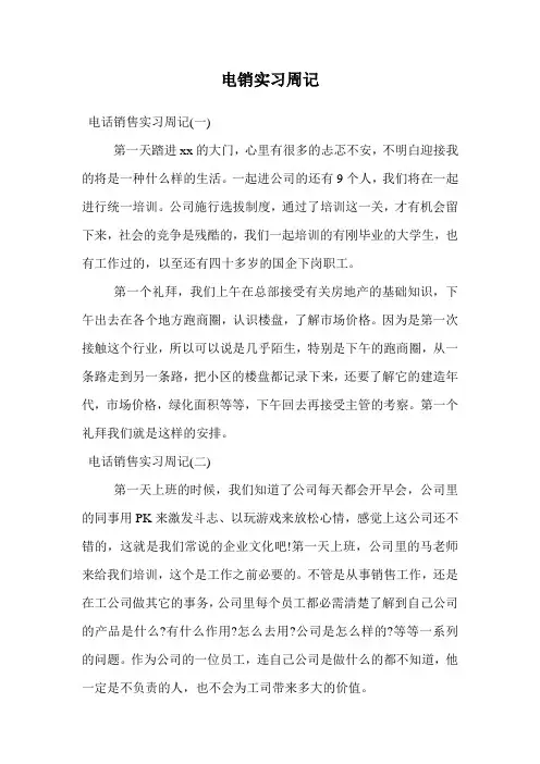 电销实习周记.doc
