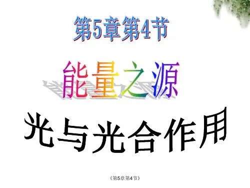 能量之源-光与光和作用 高中生物必修一教学课件PPT 人教版