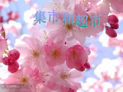 北师大版小学语文三年级上册第七单元《集市和超市》PPT课件