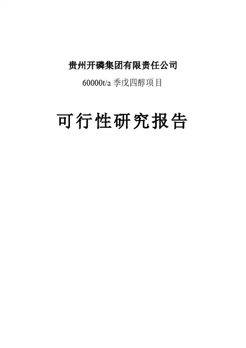 贵州开磷60000吨季戊四醇可行性报告(参考)