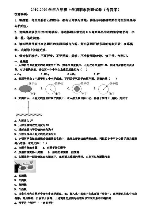 合肥市2019-2020学年物理八年级上学期期末质量跟踪监视试题