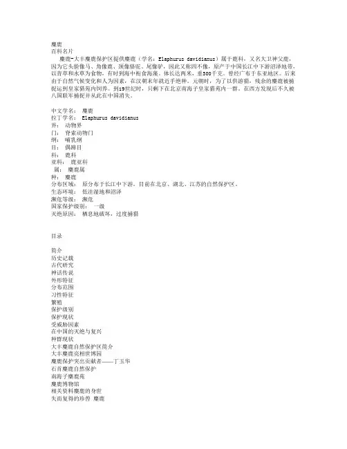 麋鹿