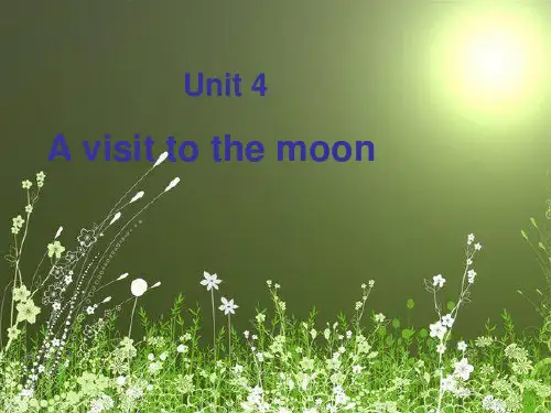a visit to  the moon ppt模板
