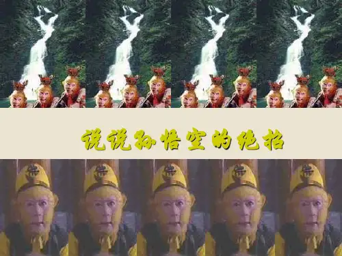 公开课《奇妙的克隆》PPT课件