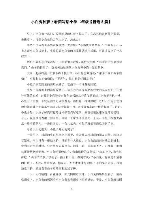 精选小白兔种萝卜看图写话小学二年级【5篇】
