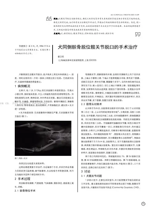 犬同侧髌骨脱位髋关节脱臼的手术治疗