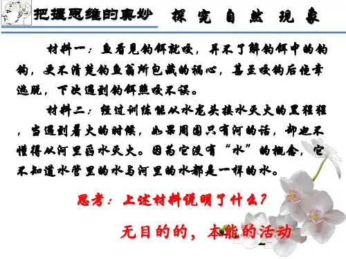 高中政治人教版必修四生活与哲学5.2  意识的作用课件(共21张PPT)