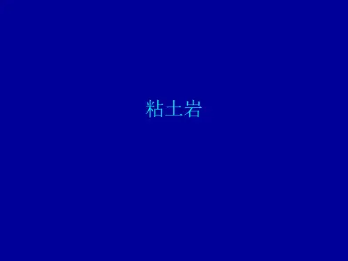 粘土岩