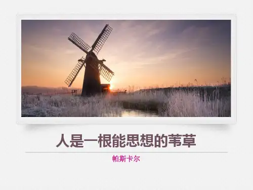 统编版高中语文选择性必修中册《人是一根能思考的苇草》短文三篇PPT教学课件