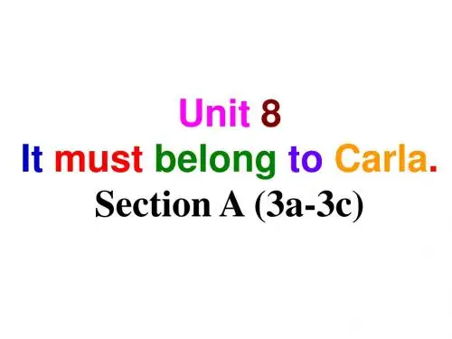 人教新目标英语九年级全册 Unit 8 It must belong to Carla. Section A (3a-3c) 课件