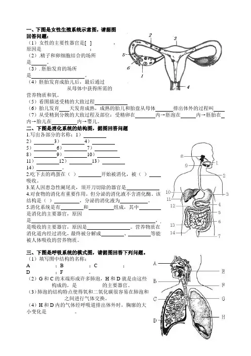 七年下生物识图汇总
