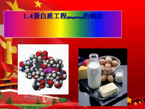 高中生物专题一4蛋白质工程的崛起课件选修3高二选修3生物课件