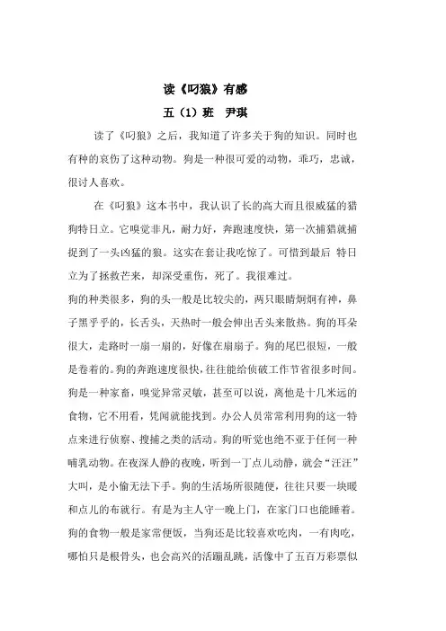 叼狼读后感