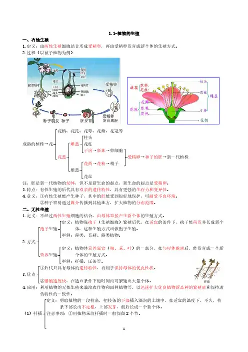 人教版八年级生物下学期期末复习必背提纲
