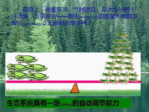 七年级生物上册 1.2.2 生物与环境组成生态系统 食物链食物网课件 