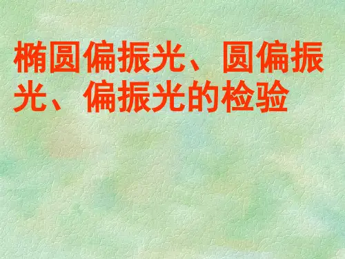 椭圆偏振光、圆偏振光、偏振光的检验