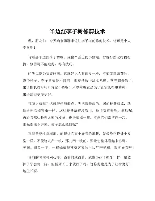 半边红李子树修剪技术