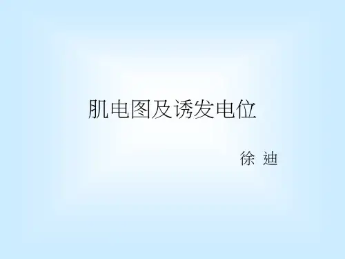 肌电图及诱发电位