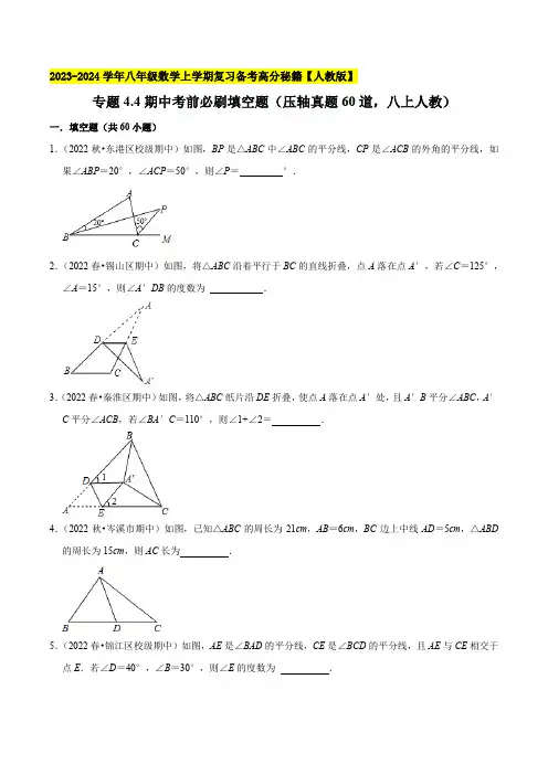 期中考前必刷填空题(压轴真题60道,八上人教)八年级数学上学期复习备考高分秘籍【人教版】(原卷版)
