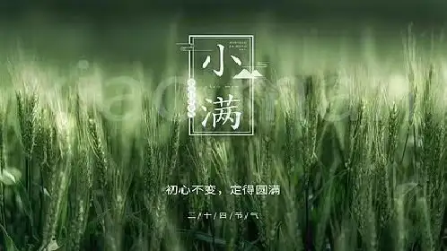 小满节气 课件(共21张PPT)小学生主题班会通用版