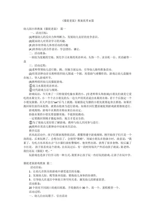 《猫捉老鼠》教案优秀4篇