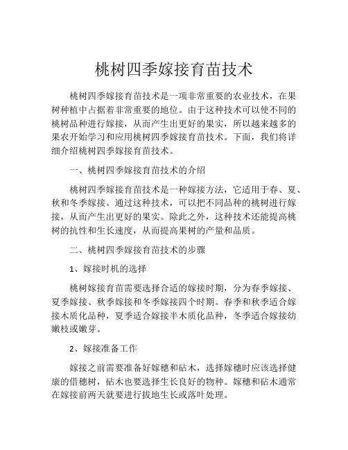 桃树四季嫁接育苗技术