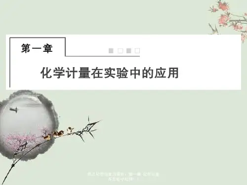 高三化学总复习课件：第一章-化学计量在实验中应用1-1