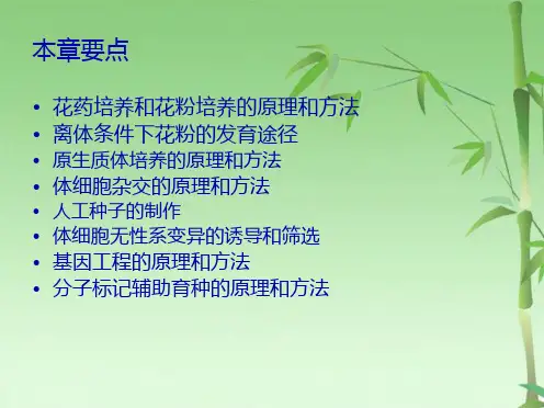 第18章 生物技术育种(共25张PPT)