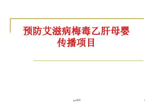 预防艾滋病、梅毒和乙肝母婴传播项目  ppt课件