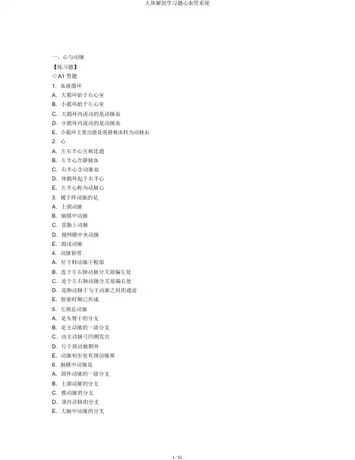 人体解剖学习题心血管系统