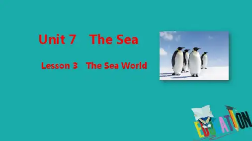 高中英语北师大版必修3课件：Unit 7 The Sea Lesson 3 The Sea World 
