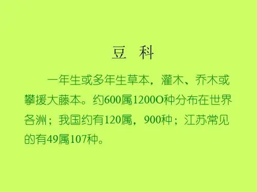 豆科植物介绍-PPT课件