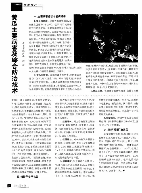 黄瓜主要病害及综合防治技术
