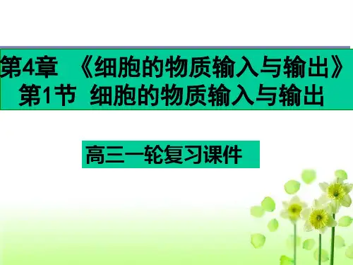 人教版高中生物必修一第4章《细胞的物质输入和输出》复习课件 (共48张PPT)