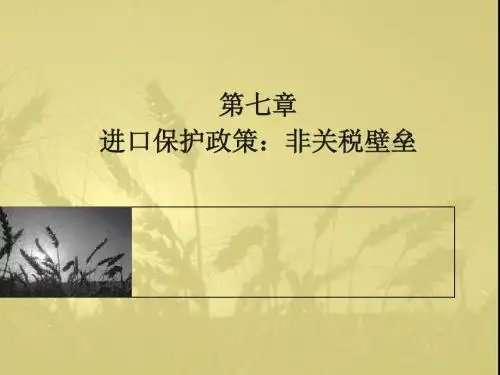 进口保护政策非关税壁垒.ppt