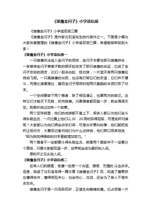 《雄鹰金闪子》小学读后感三篇