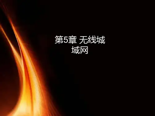 第五章 无线城域网PPT课件