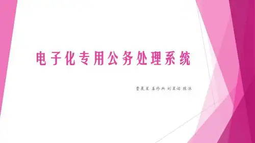电子化专用公务处理系统