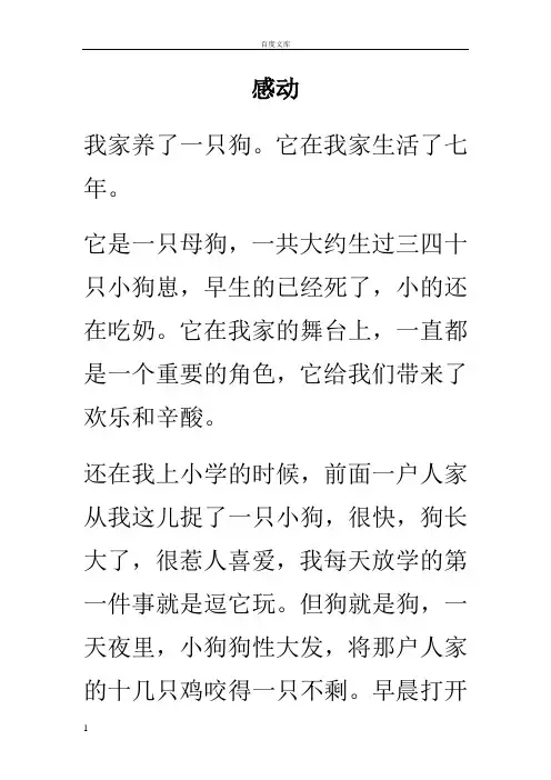 触动心灵的人和事作文范文