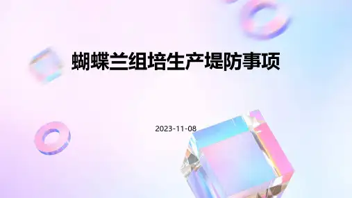 蝴蝶兰组培生产堤防事项