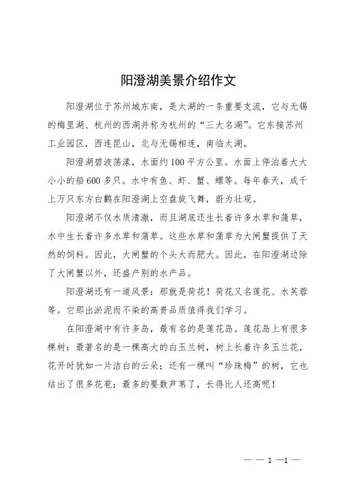 阳澄湖美景介绍作文