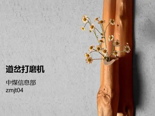 道岔打磨机详细介绍