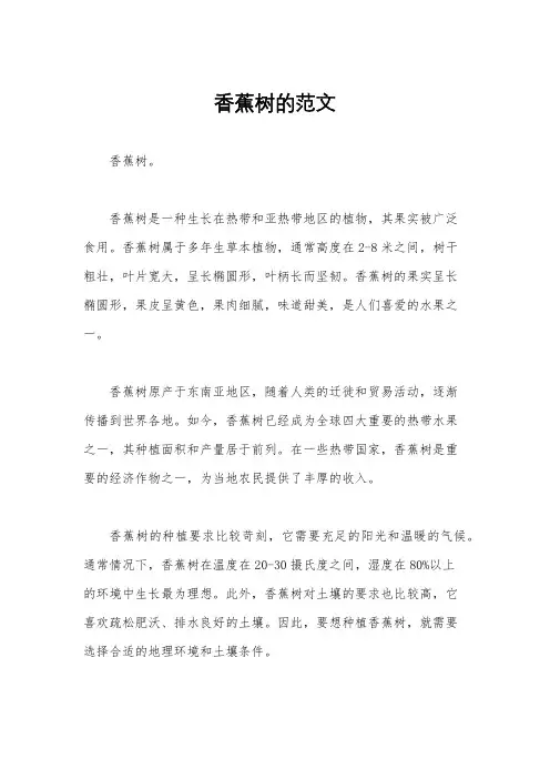 香蕉树的范文