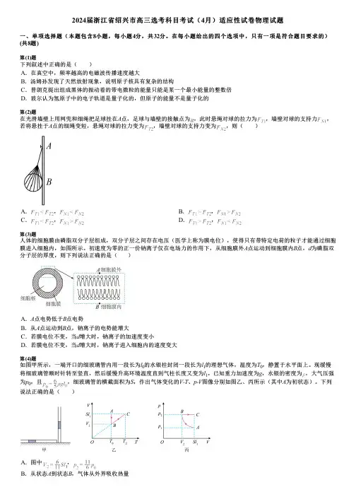 2024届浙江省绍兴市高三选考科目考试(4月)适应性试卷物理试题